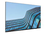 ThinkVision E55 LFD 55" Klasse (54.6" synlig) LED-bakgrunnsbelyst LCD-skjerm