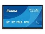 ProLite TE6513A-B1AG 65" Klasse (64.5" synlig) LED-bakgrunnsbelyst LCD-skjerm