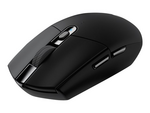 G G305 - mus