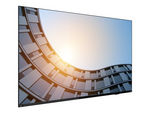 ThinkVision E65 LFD 65" Klasse (64.5" synlig) LED-bakgrunnsbelyst LCD-skjerm