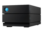 2big RAID STHJ40000800
