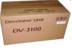 DV 3100 - original