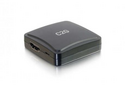 Raritan video adapter