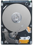 Harddisk - 300 GB